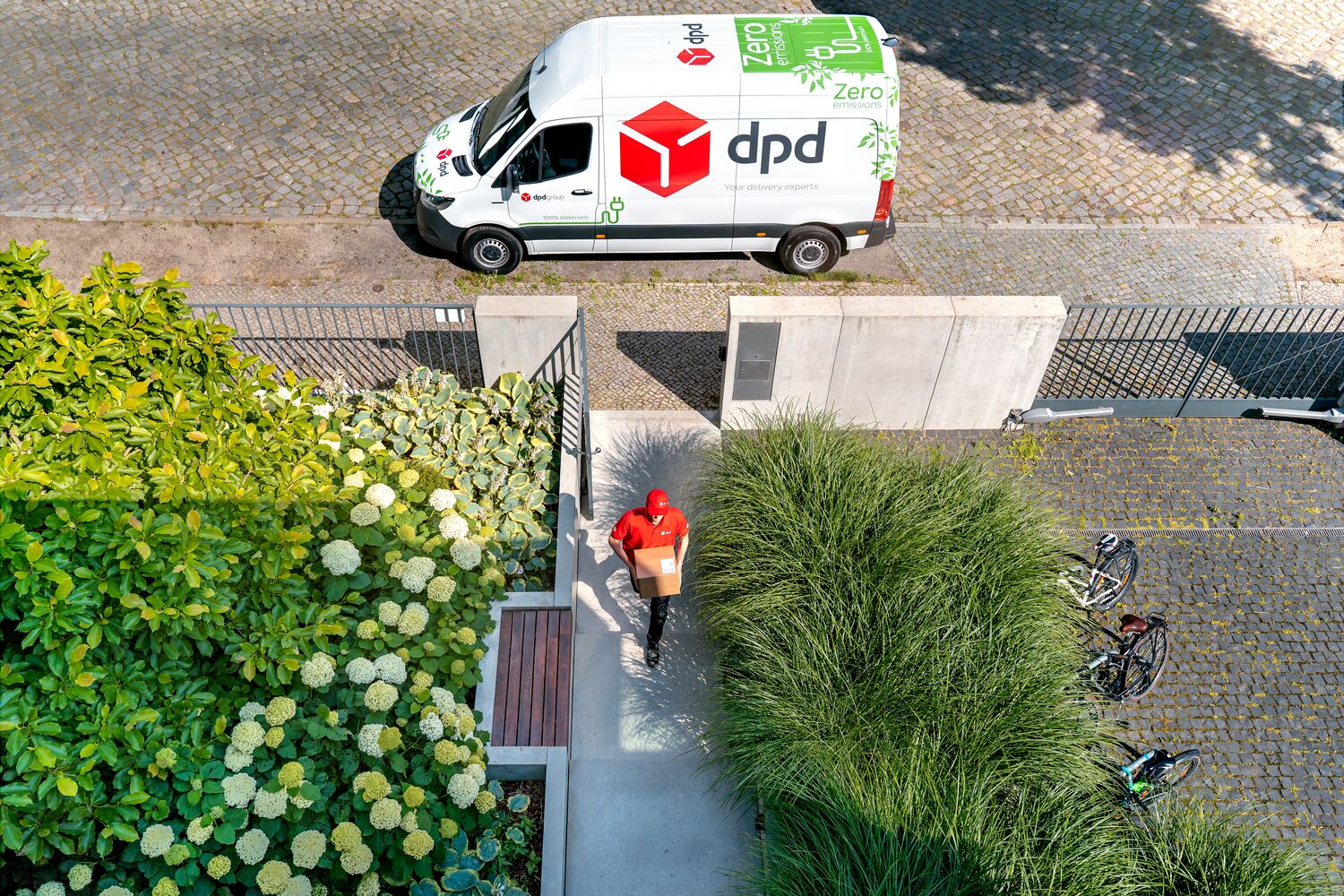 DPD driver delivery a parcel